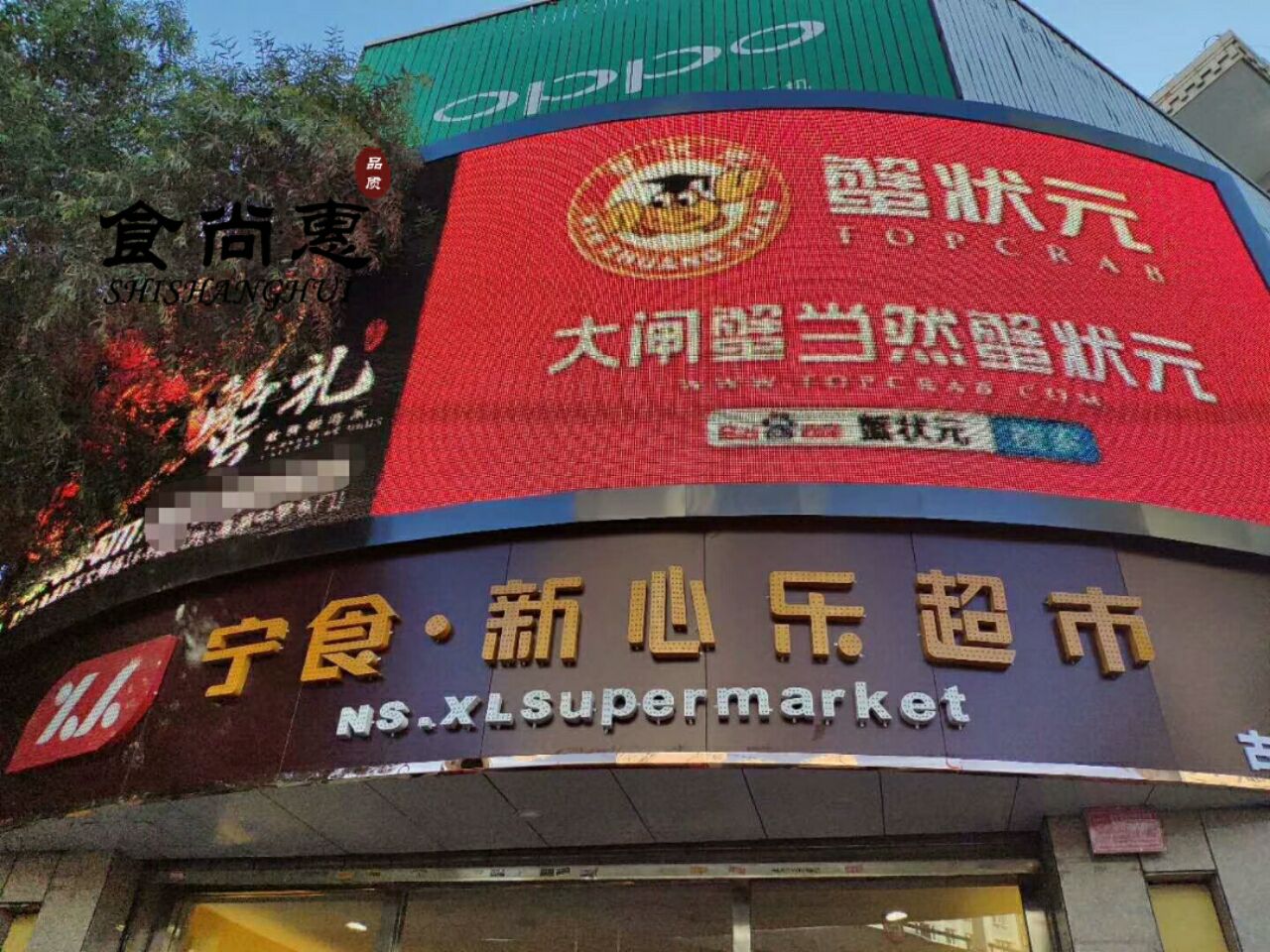 阳澄湖大闸蟹招分销代理