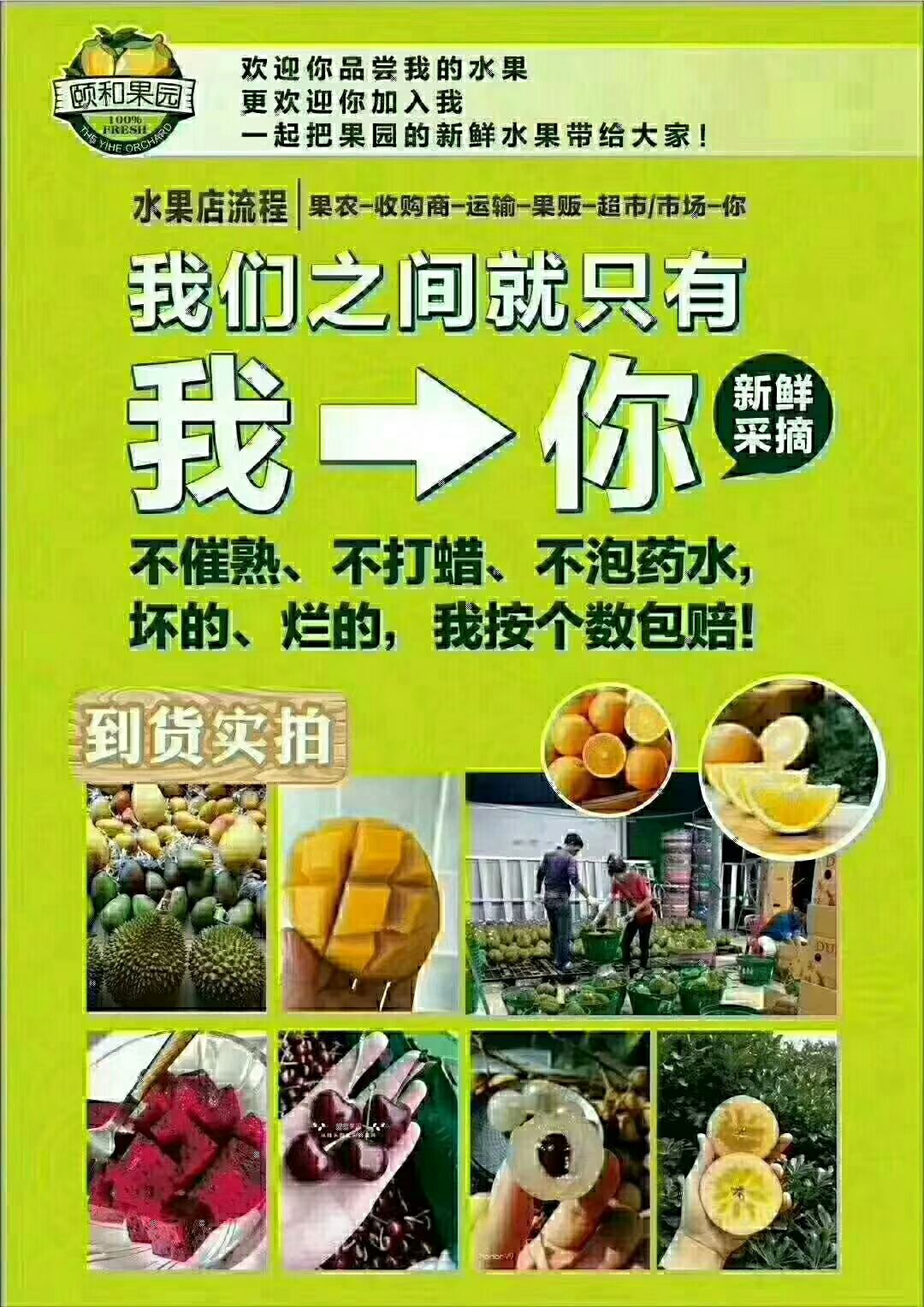 颐和果园招代理