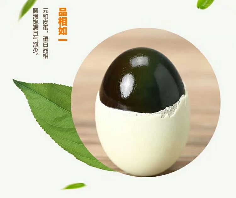 88元招代理，送海鸭蛋一箱！！！