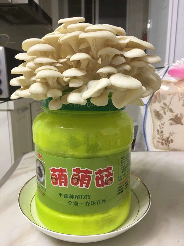 产地直发～水果特产零食铺