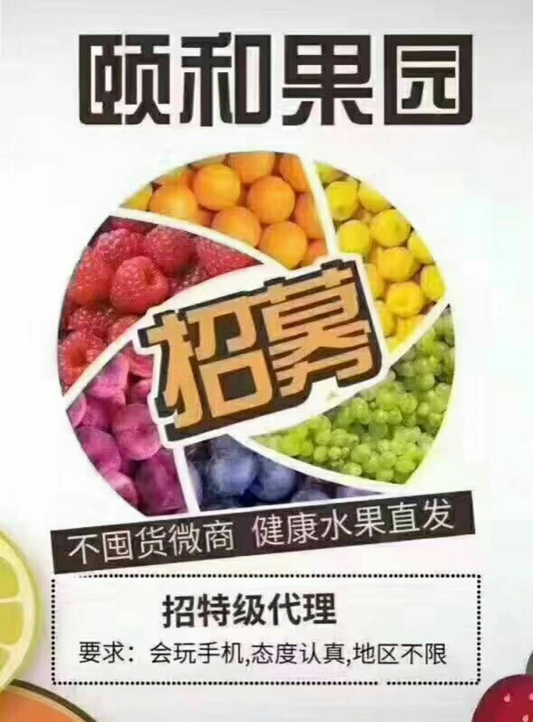 颐和果园招代理