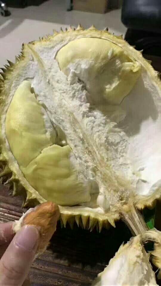 爱吃各种水果的加她