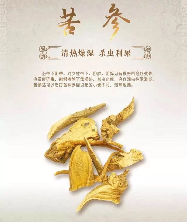 和之初雪莲贴.专业治疗女性各种妇科炎症.排子宫毒素
