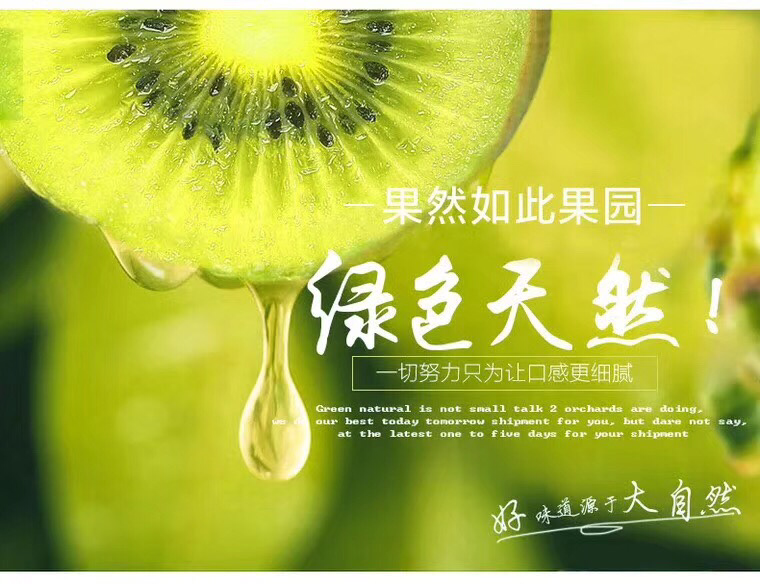 眉县徐香猕猴桃 果园一件代发 接单就可赚钱