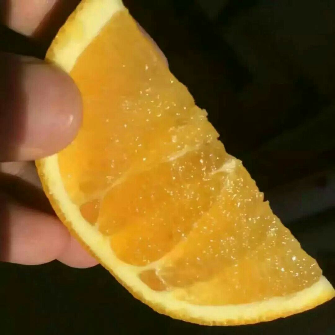 赣南脐橙一手货源，诚招全国优质代理