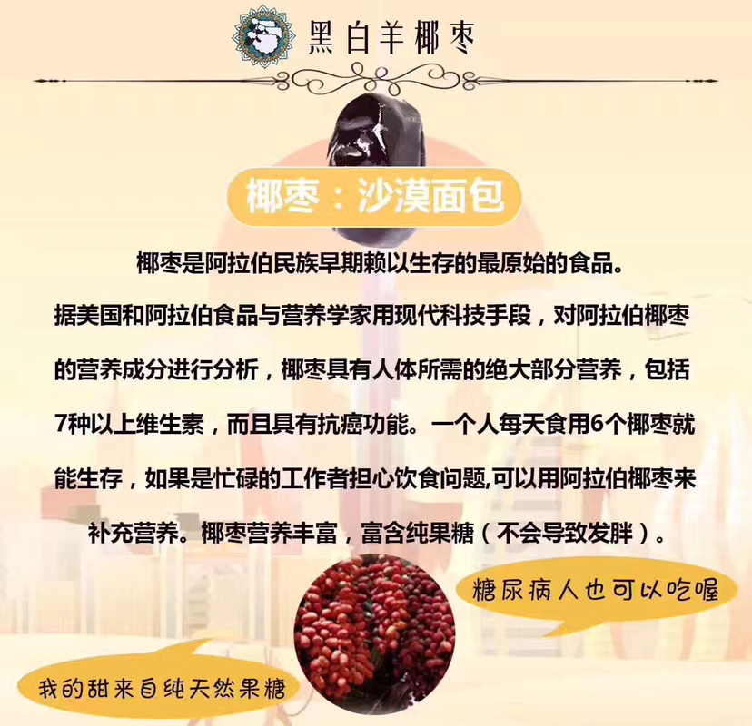 伊朗椰枣中国总代理 0风险创业
