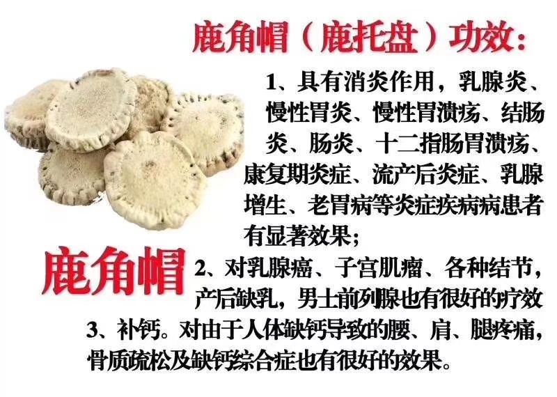 梅花鹿产品批发