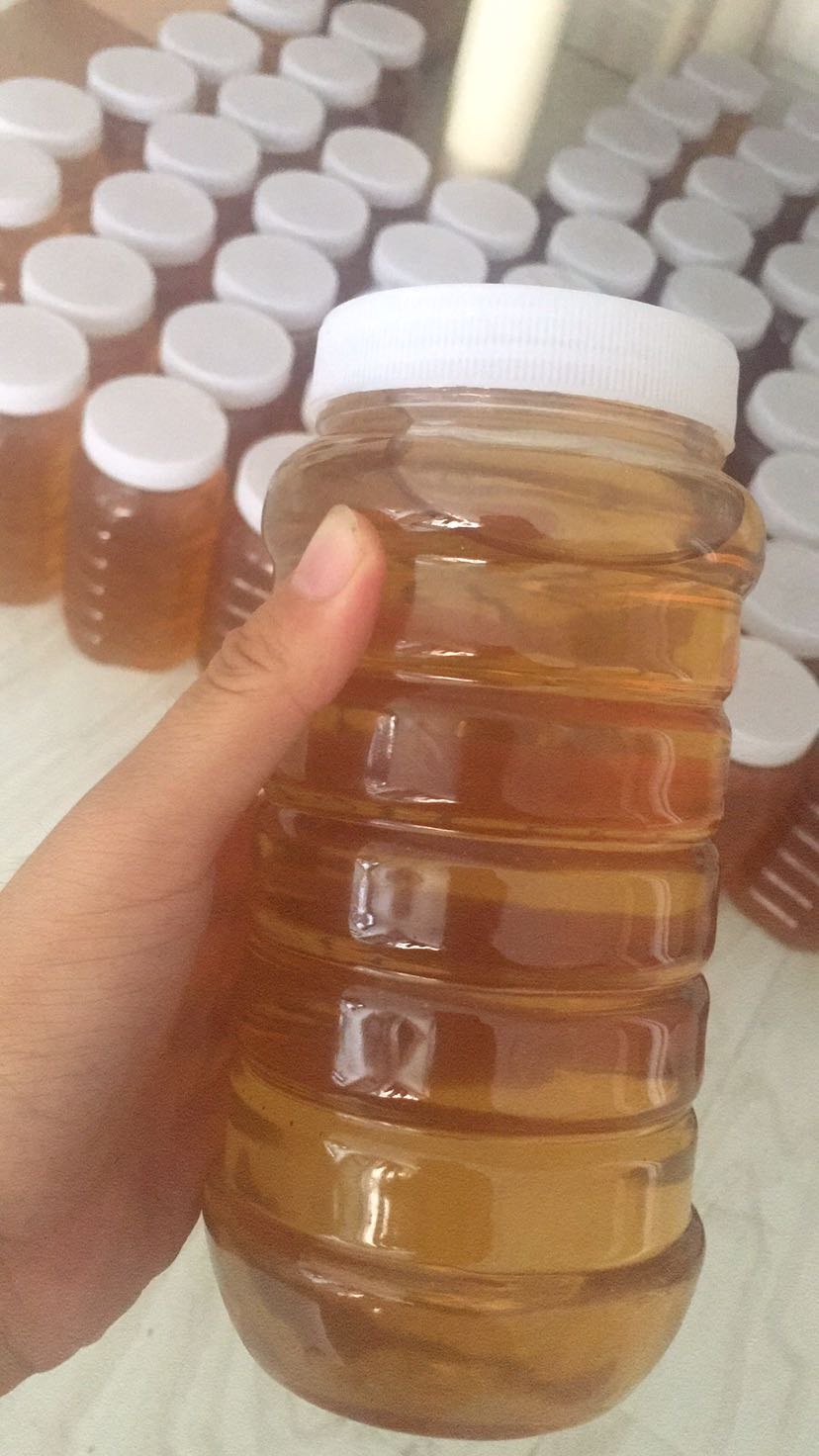 自己家蜂场 纯天然蜂蜜 花粉 蜂皇浆  蜂巢蜜  保纯 招代理