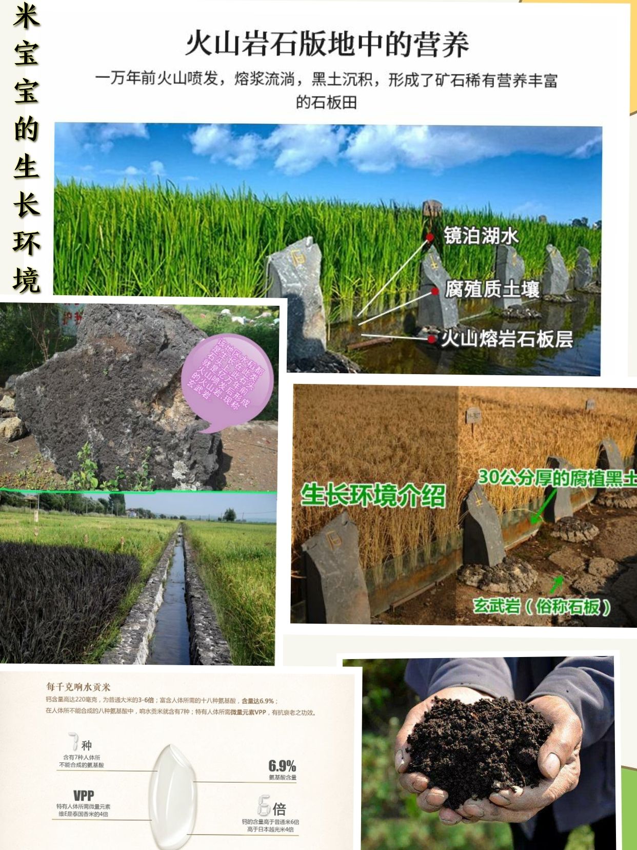 东北特产(东北石板米稻花香)一分价钱一分货