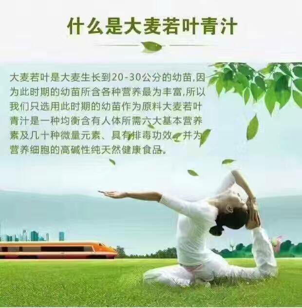 蚂蚁农场青汁
