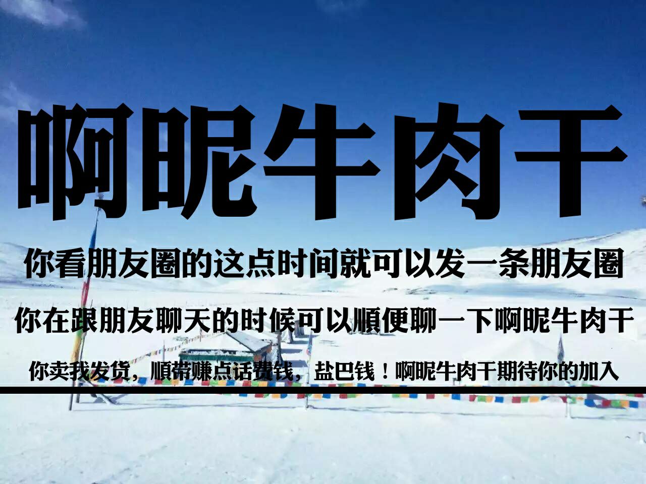 0元代理高原牦牛肉干 利润每斤在三十元左右