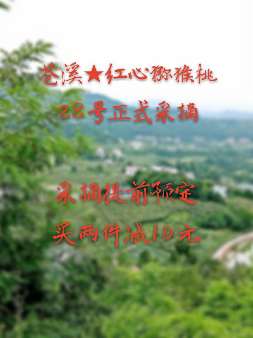 苍溪★红心猕猴桃诚招经销商，代理