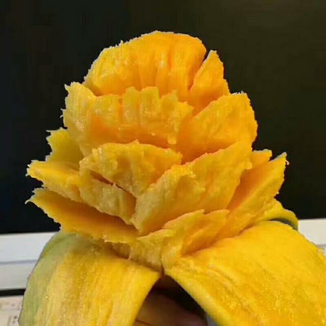 爱吃各种水果的加她
