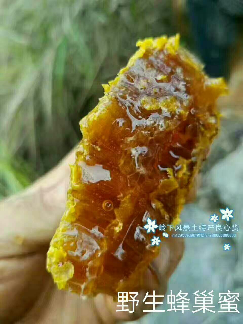 岭下风景野生蜂蜜  野生葛粉葛片  野生铁皮石斛  野生红菇