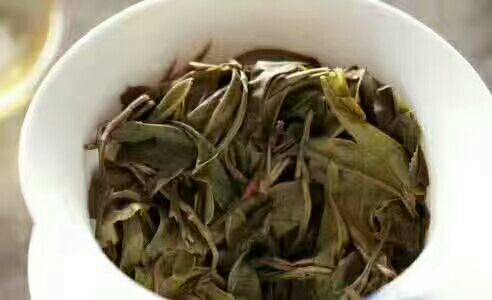 云南八角亭普洱茶