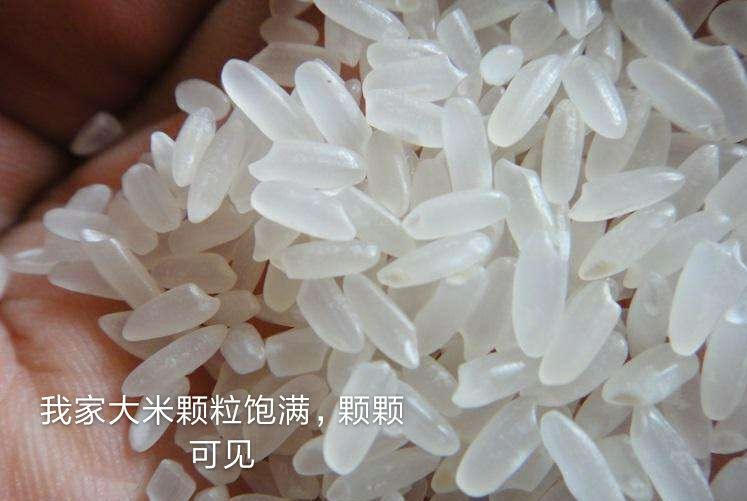 东北特产(东北石板米稻花香)一分价钱一分货