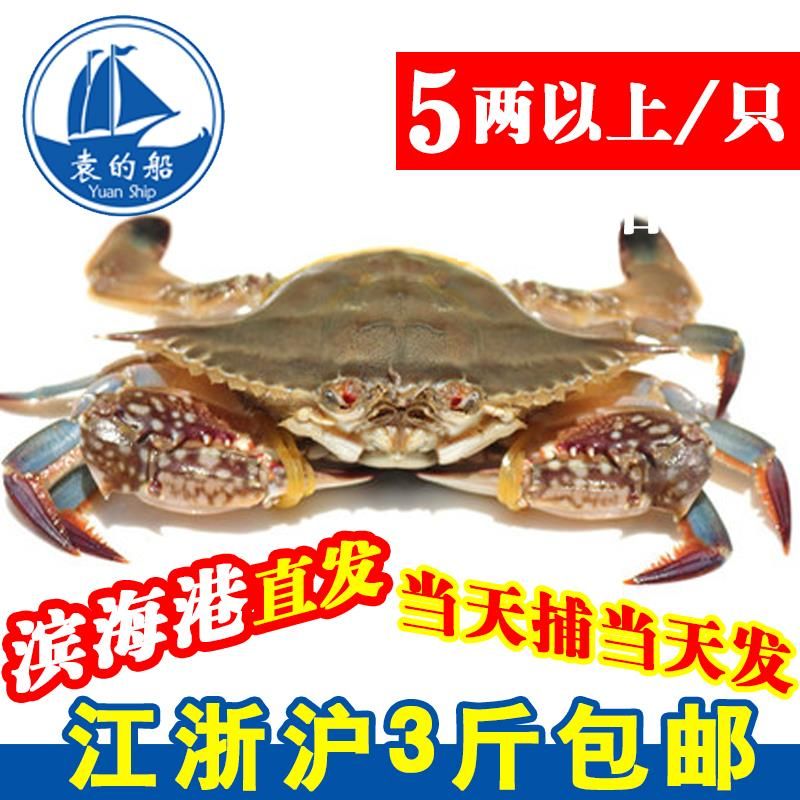 海鲜工作室，招收代理！福利多多  进来看详情