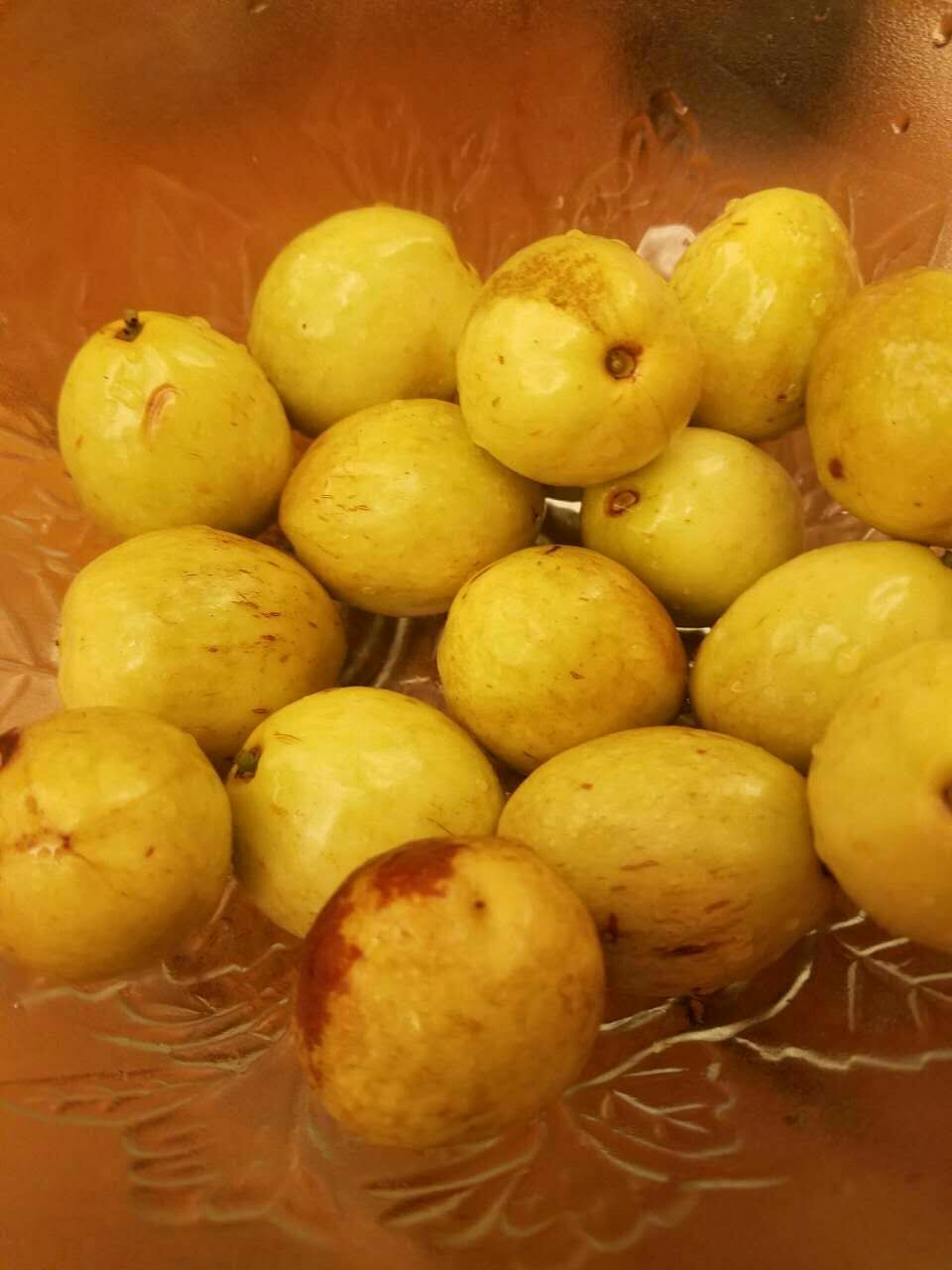 婆枣 大枣  大雪枣
