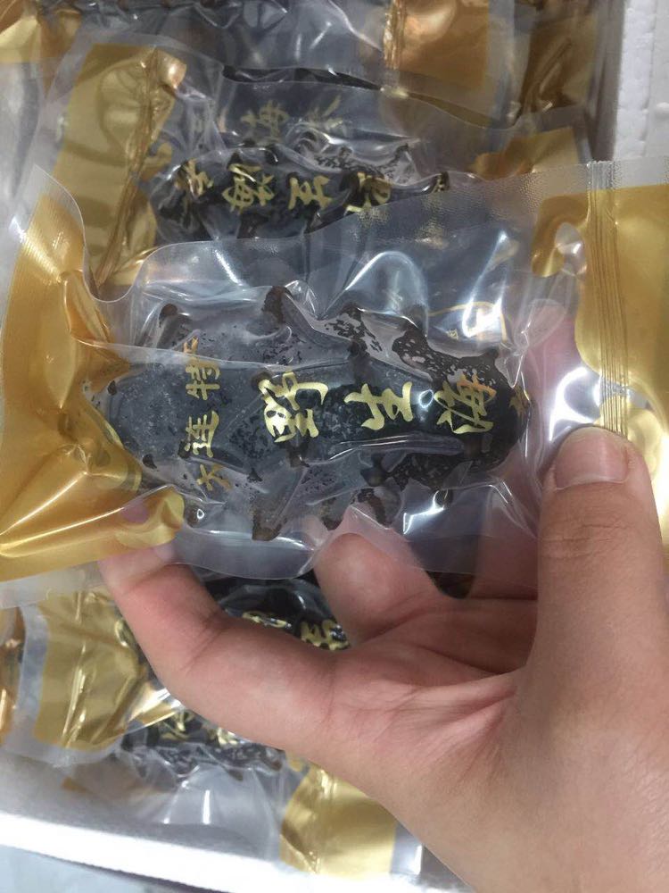 大连辽参一手货源加工厂 诚信经营 广招代理
