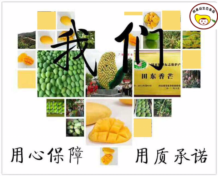 田东芒果之乡那果场生态果园招收代理 零投资，回报高