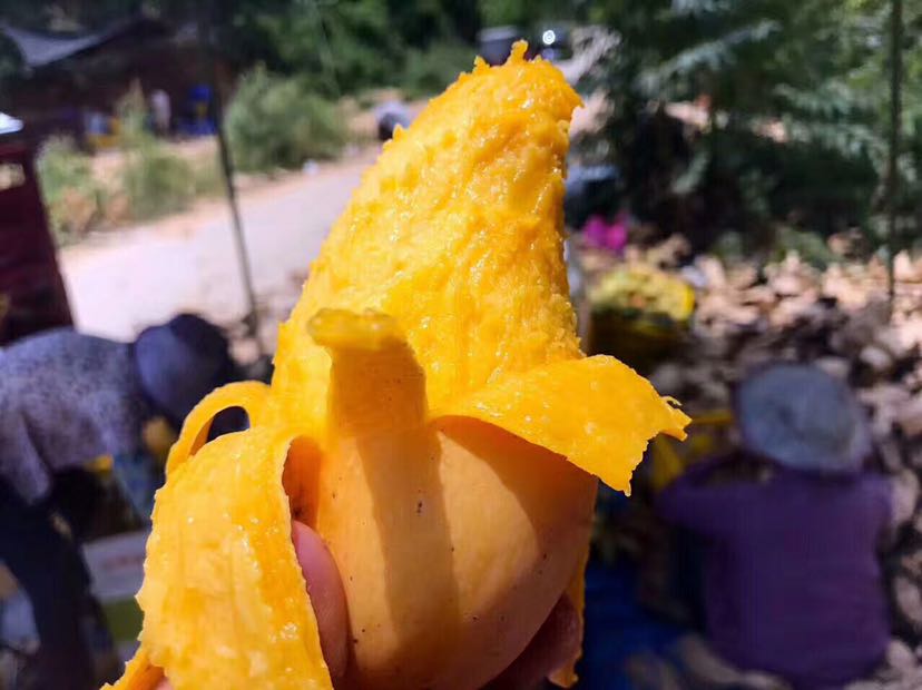 经营各种热带水果