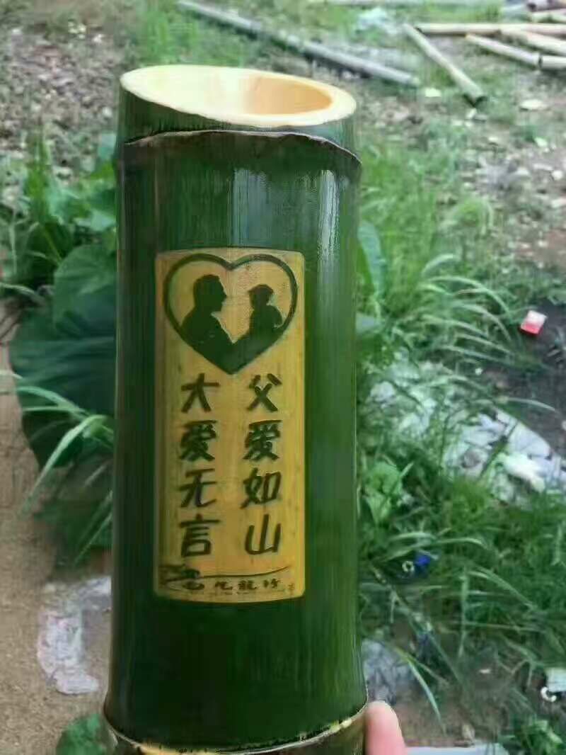 招兼职 代理，不收取任何费用！！