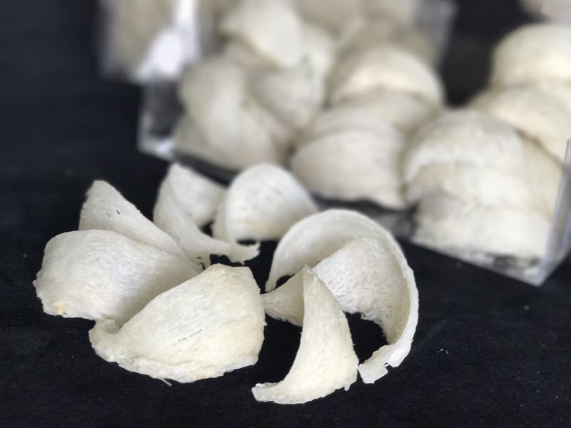 印尼雅加达燕窝工厂诚招代理，纯手工挑毛