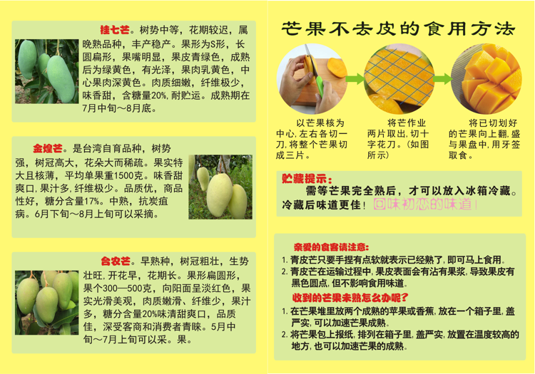 田东芒果之乡那果场生态果园招收代理 零投资，回报高
