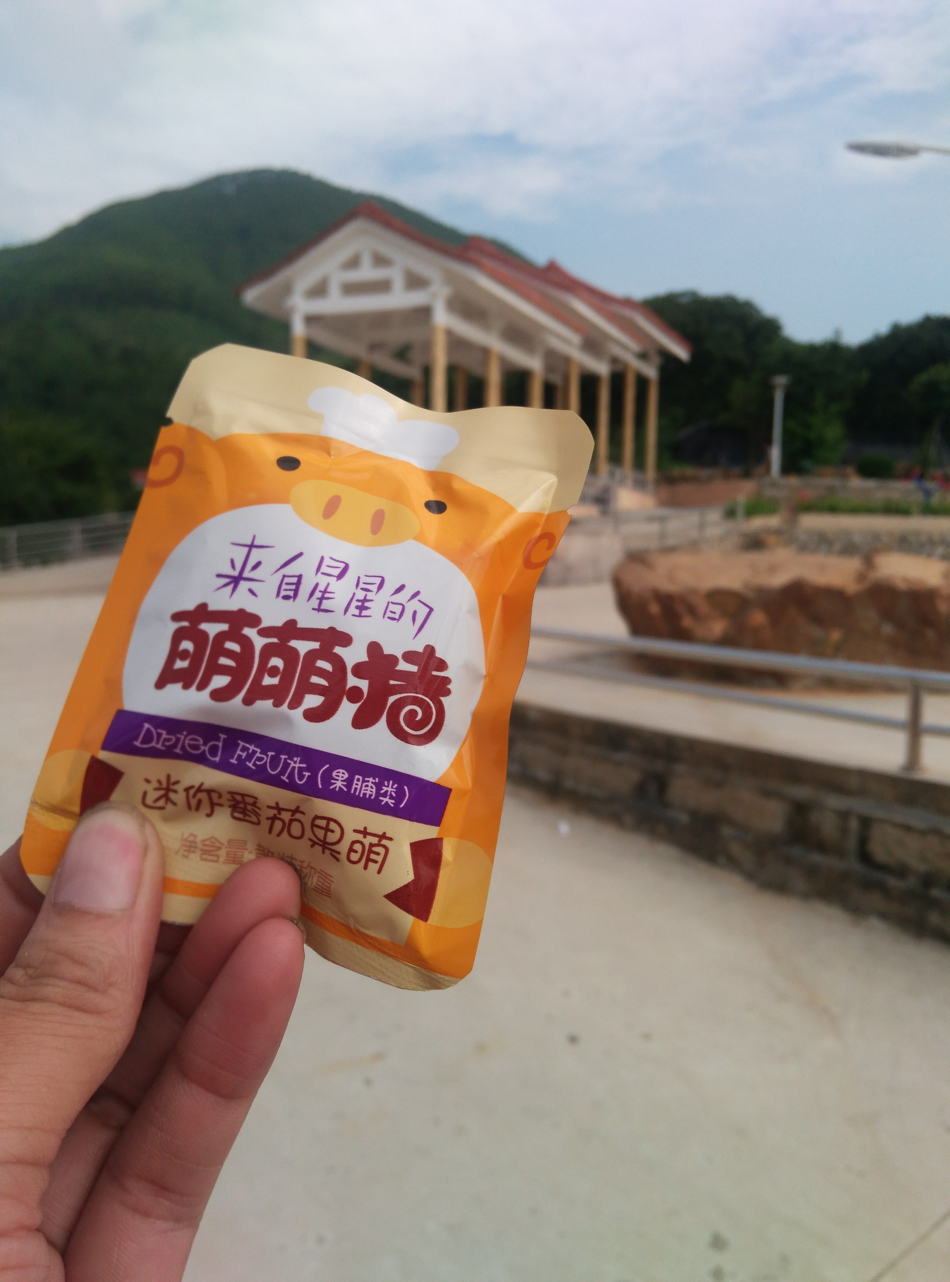 零食免费招代理