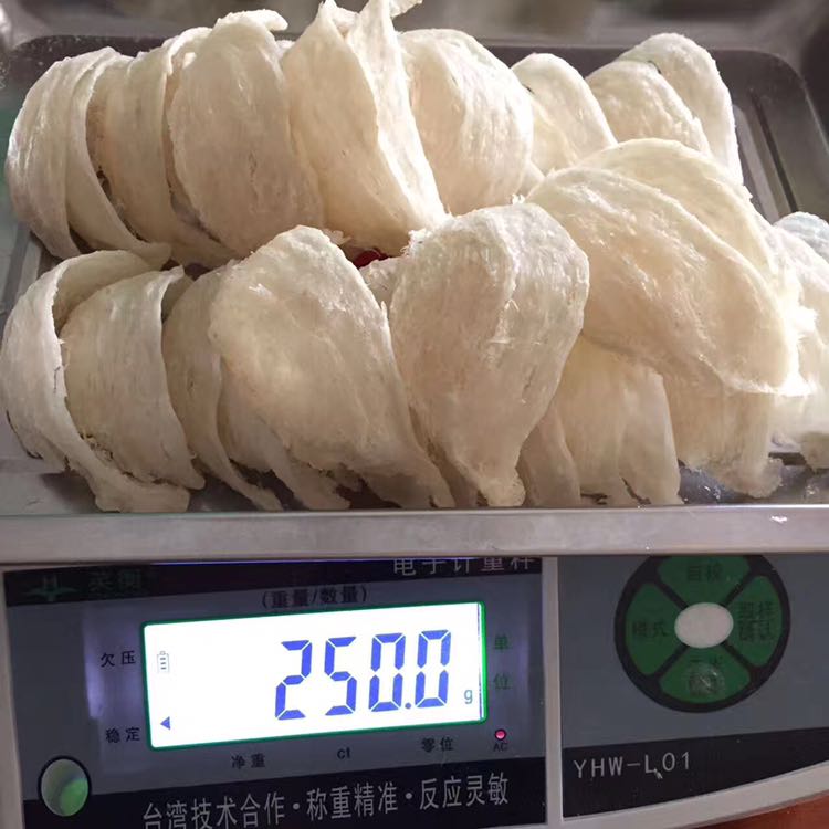 马来西亚燕窝！代理费200马上当老板！