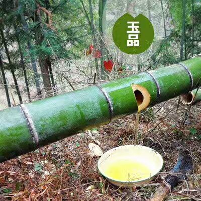 玉品竹筒酒（鲜竹酒）
