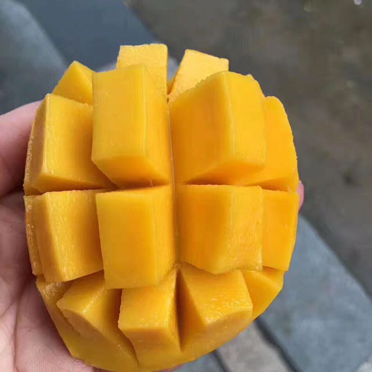 海南热带水果一件代发 包邮包售后