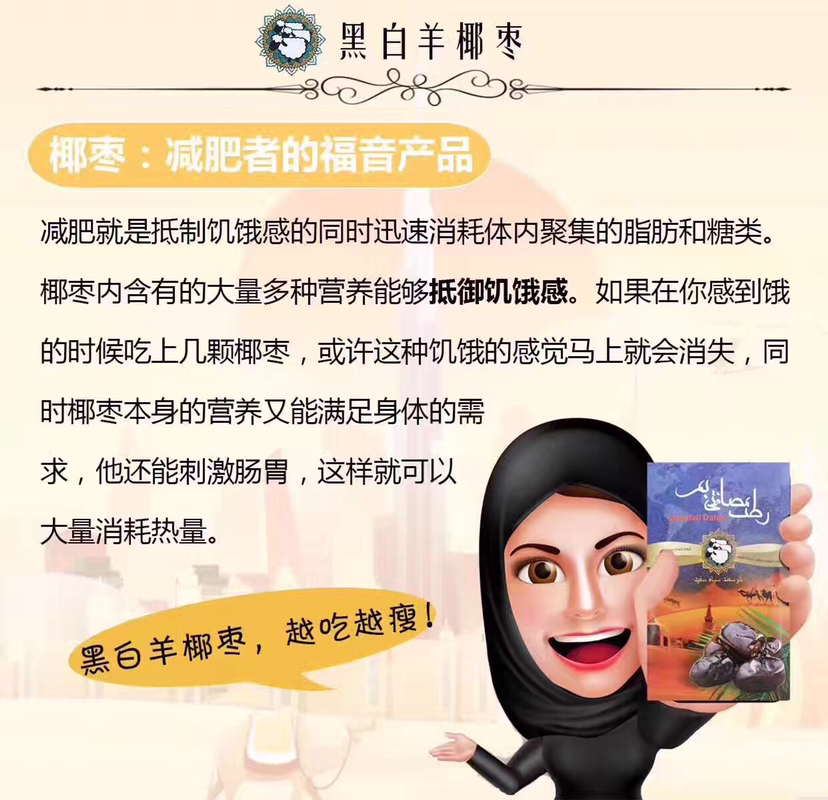 伊朗椰枣中国总代理 0风险创业