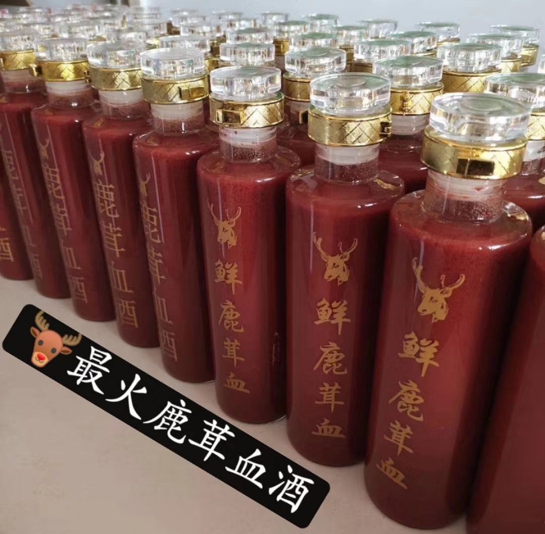 东北梅花鹿