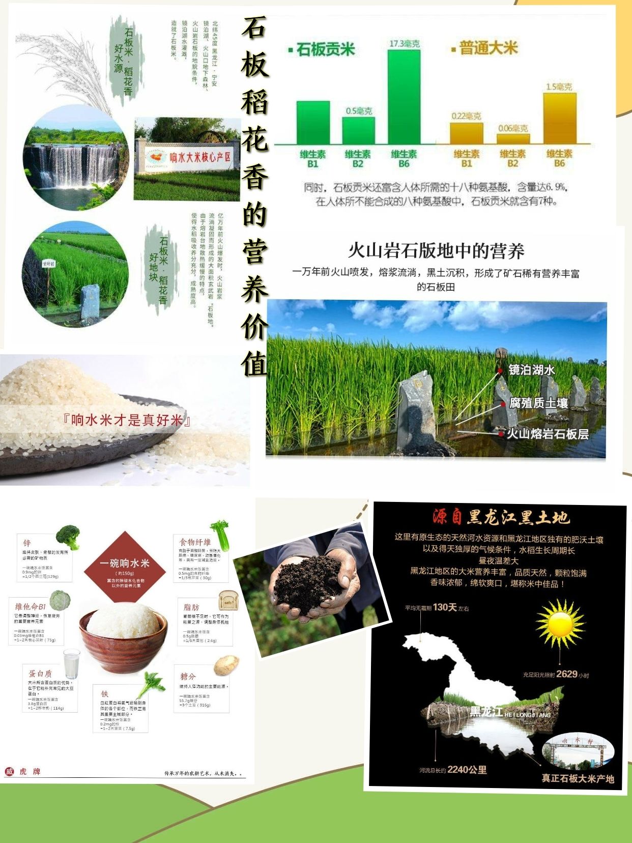 东北特产(东北石板米稻花香)一分价钱一分货