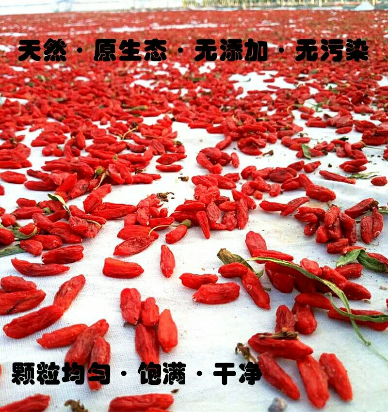 青海柴达木枸杞自产自销的枸杞，纯天然无添加剂