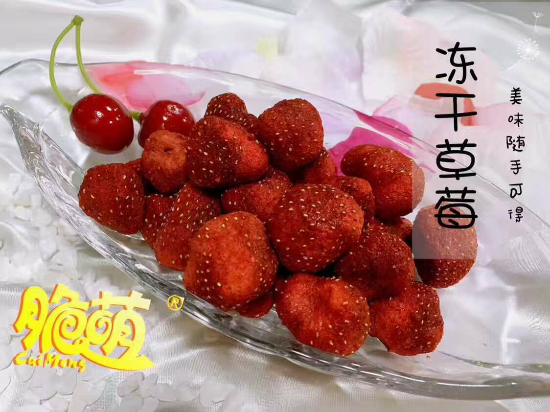 专业美食团队招募成员