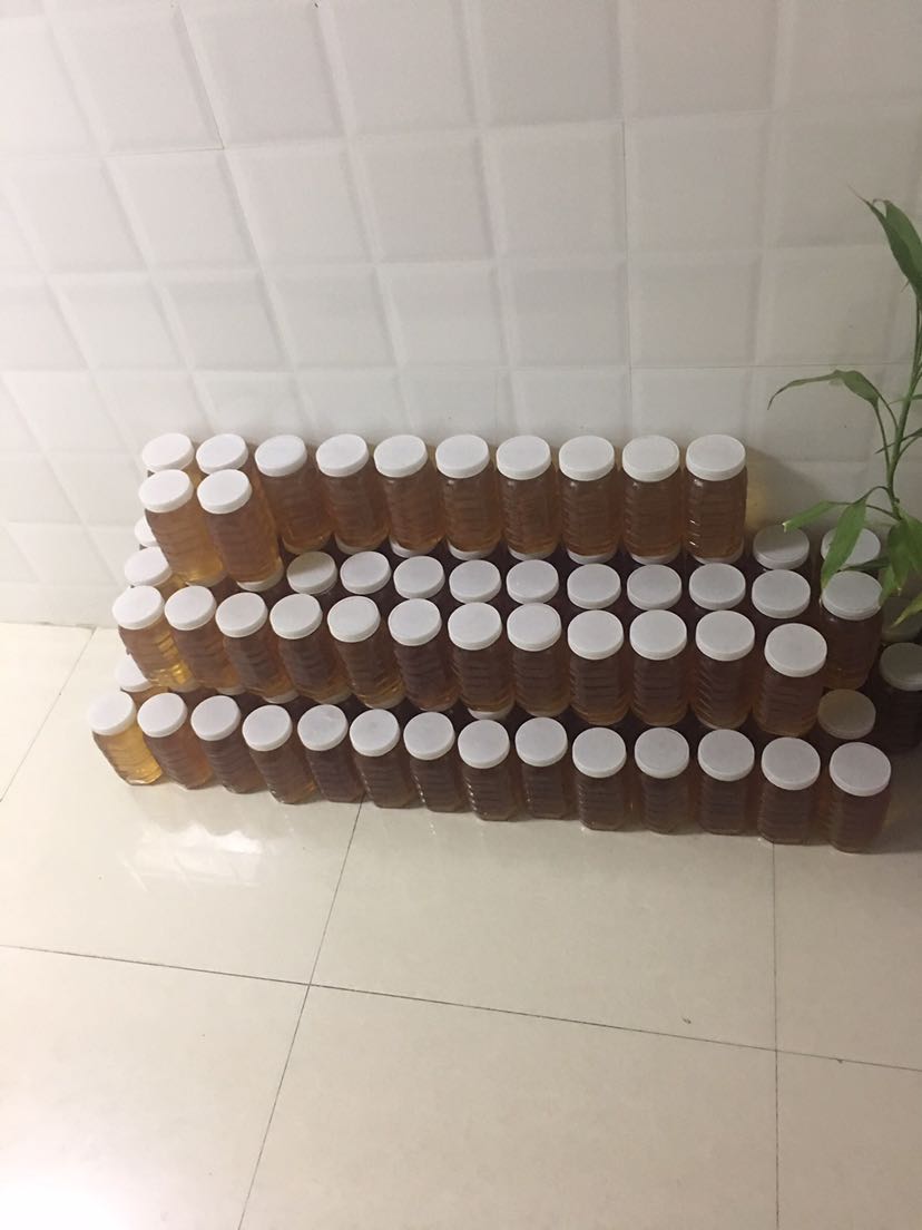 自己家蜂场 纯天然蜂蜜 花粉 蜂皇浆  蜂巢蜜  保纯 招代理