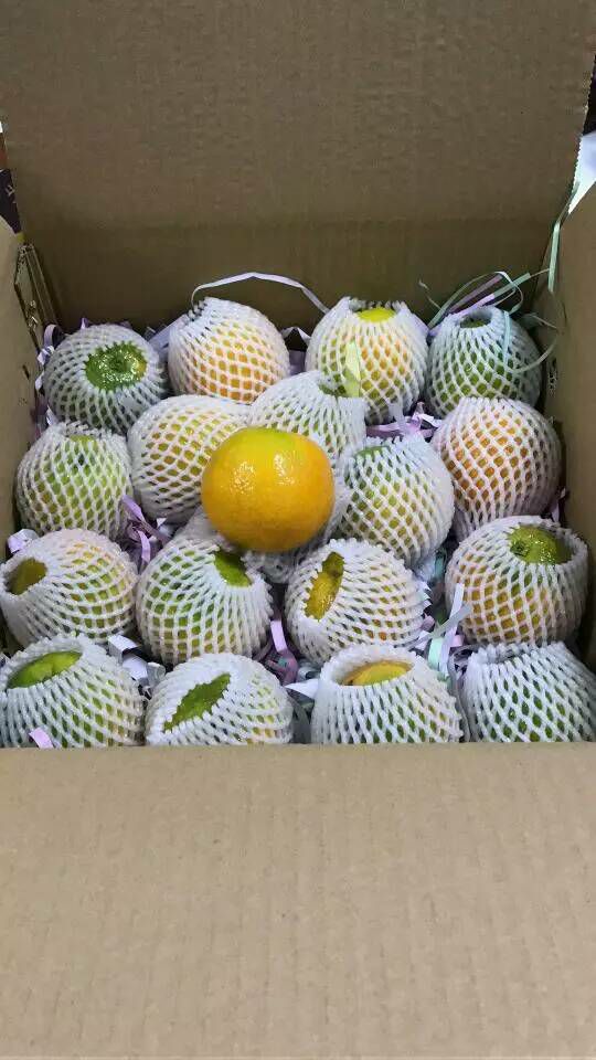 水果直发 免费招代理 长期合作 果园的果子保证质量