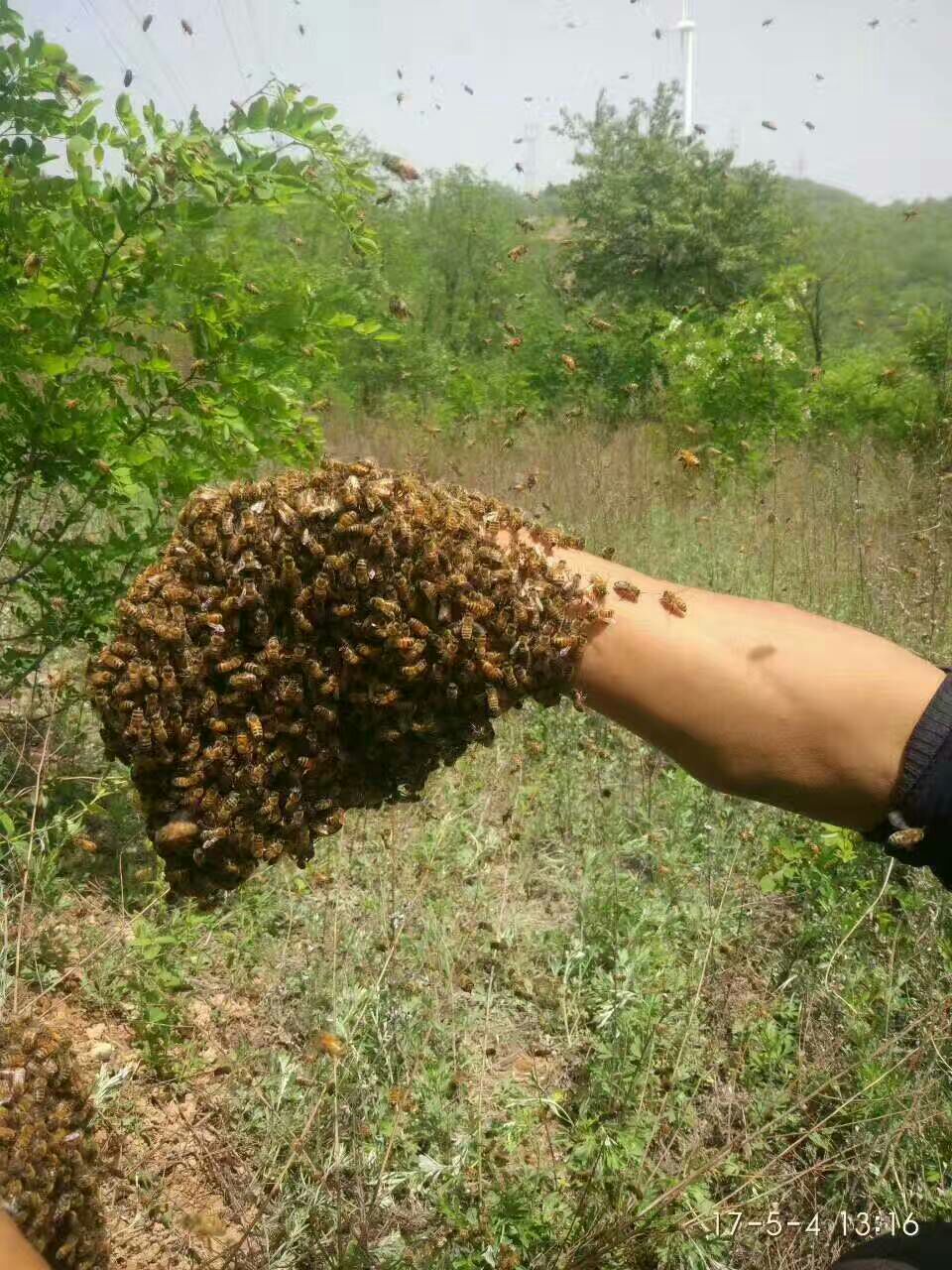 蜂蜜零售批发 男女老少都可以食用 免费代理