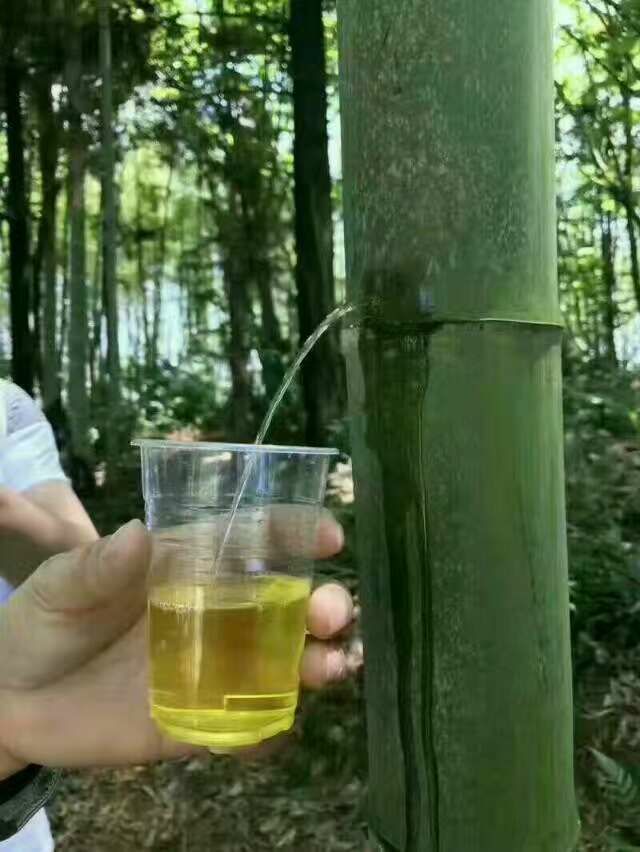 招兼职 代理，不收取任何费用！！