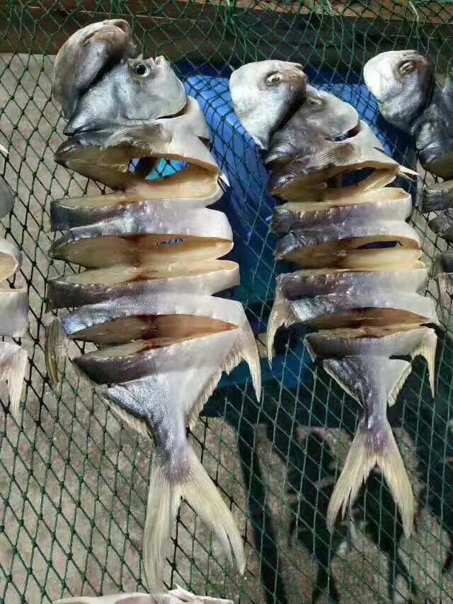 湛江深海天然干货 各种海靓干货批发 自家产业 也可代理