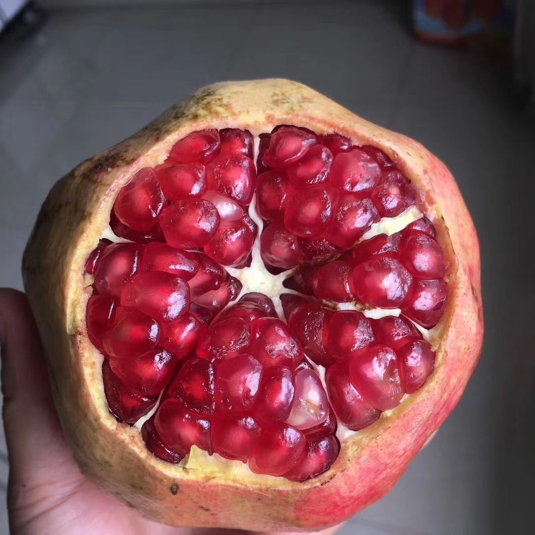 新鲜水果，现摘现发