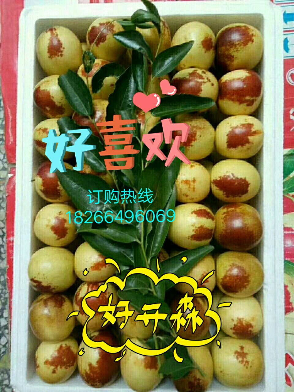 卖冬枣喽！冬枣一手货源 招代理 自家种植