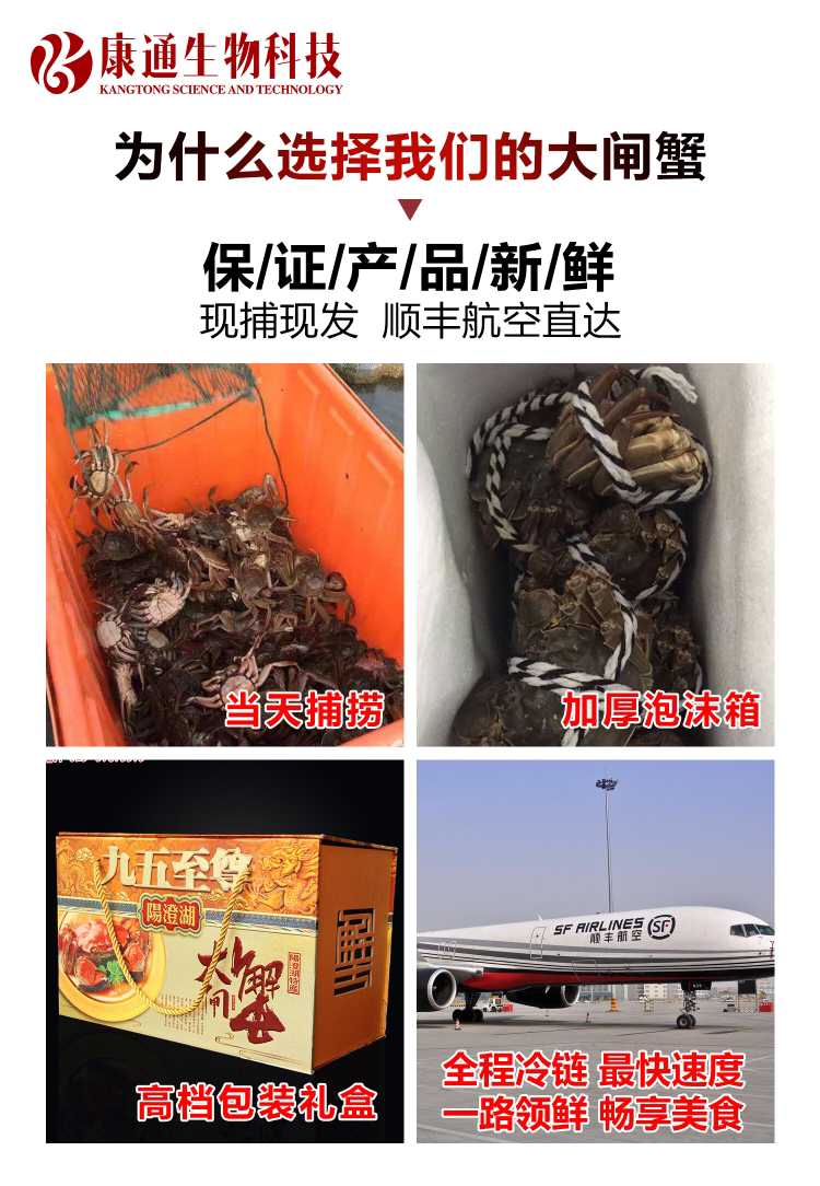 正宗阳澄湖大闸蟹招募合伙人