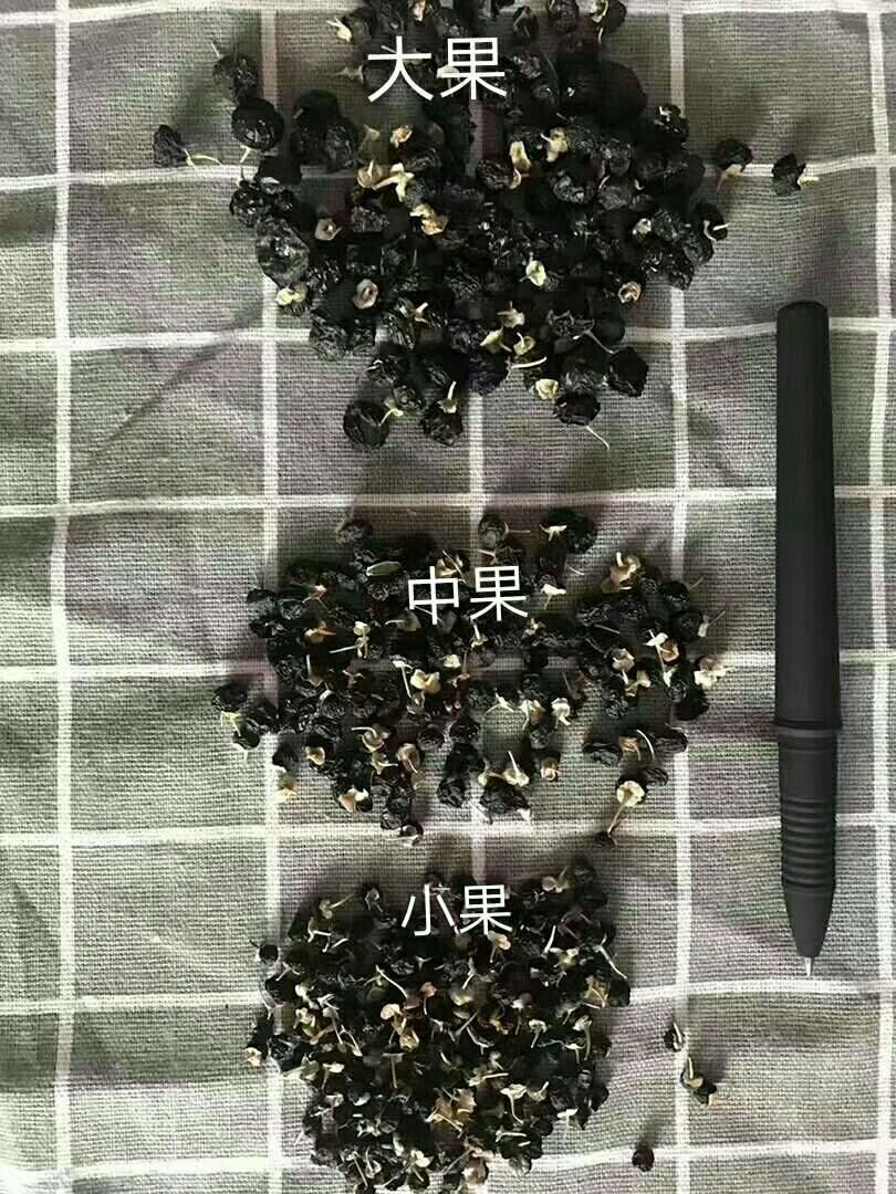 主销野生黑枸杞，红枸杞，