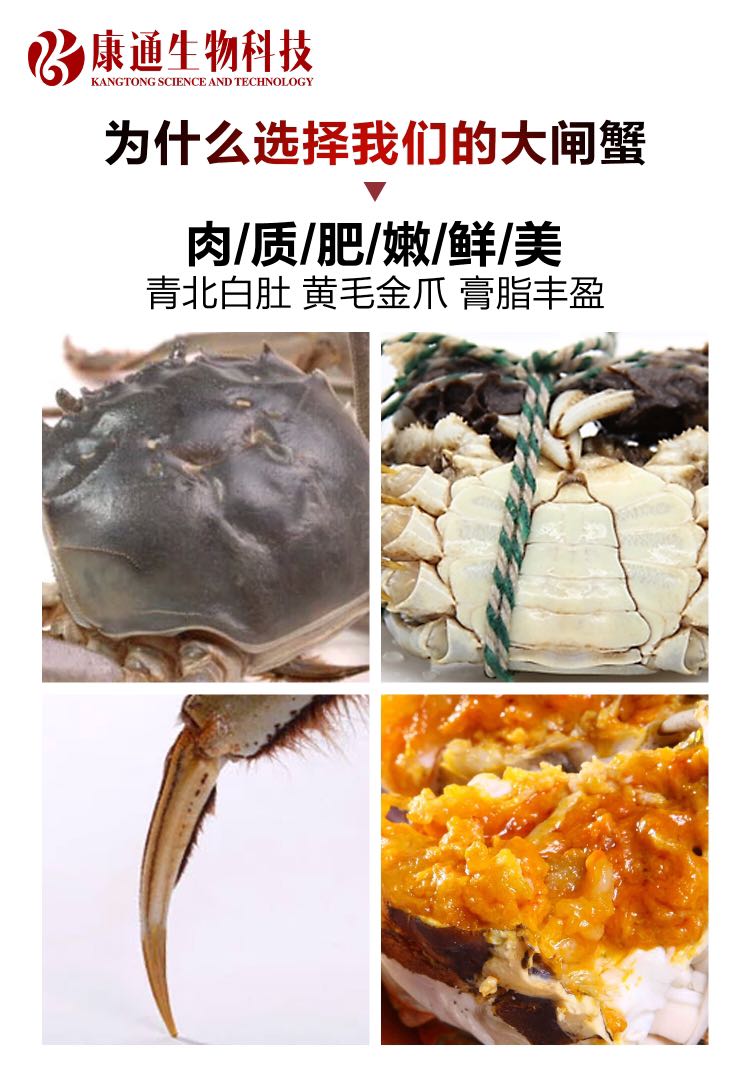正宗阳澄湖大闸蟹招募合伙人