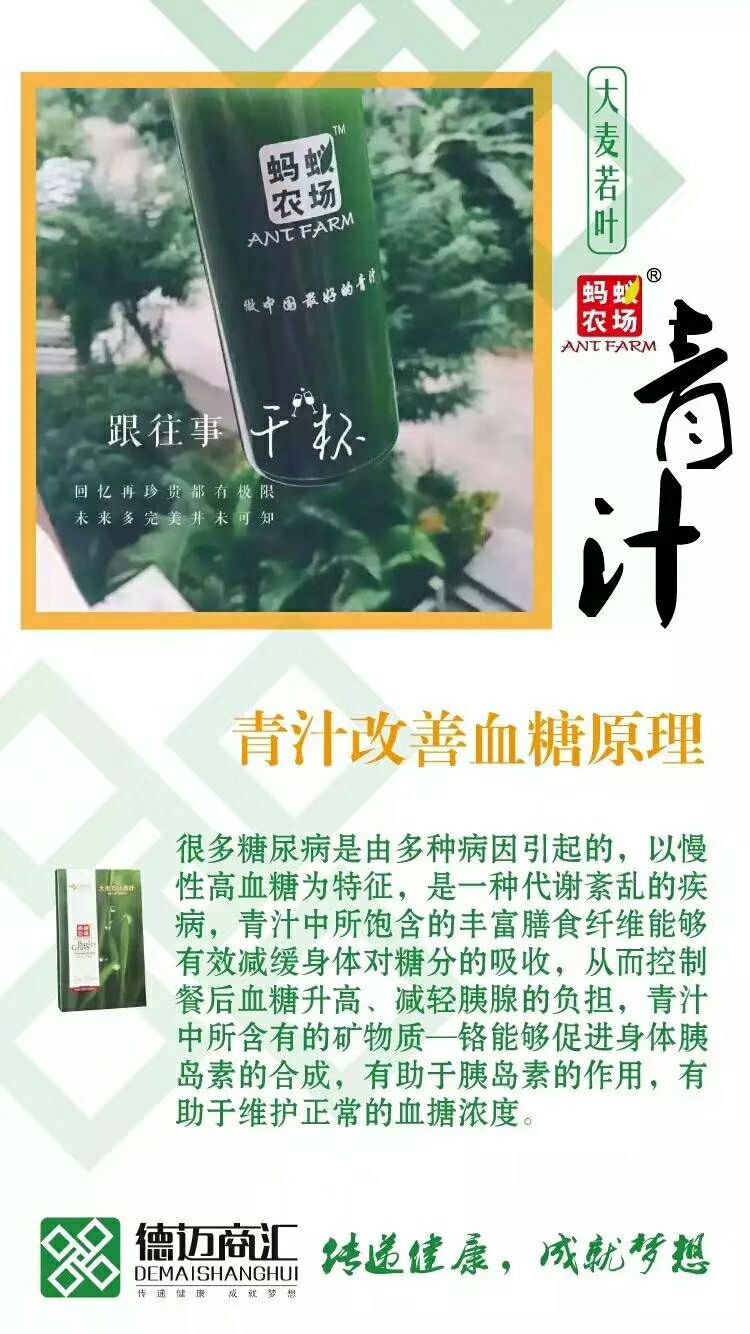 纯绿色食品 大麦青汁