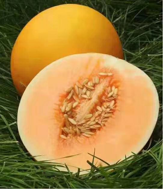 纯天然现摘现发水果