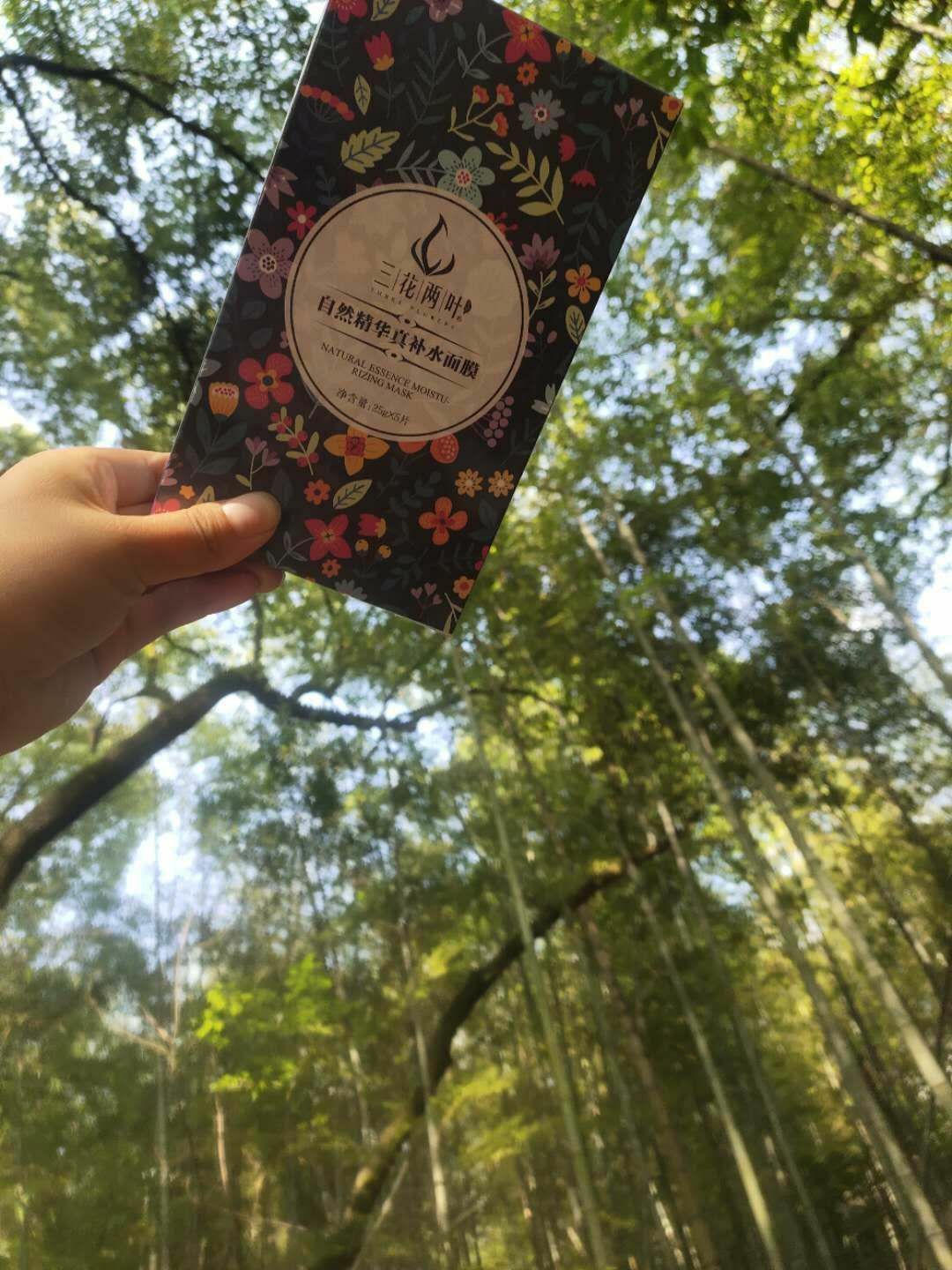 三花两叶一对一招代理